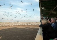 hula valley