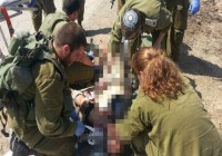 Israeli Hospital Treats Syrians