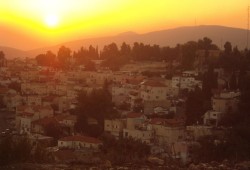 safed