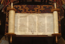 Living Torah