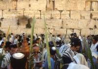 Western Wall Jerusalem Israel Sukkot Holiday