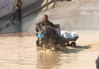 AFP Gaza Floods