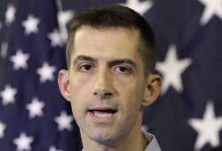 Senator Tom Cotton. (heymiller.com)