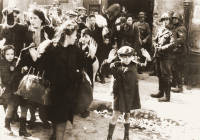 Stroop Report Warsaw Ghetto Uprising