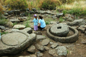 Gamla oil press