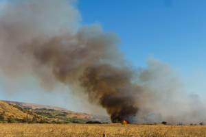 Kfar Szold wildfire