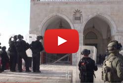 Riots on the Temple Mount During Rosh Hashana