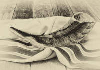 shofar