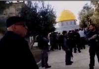 MK basel ghattas on temple mount