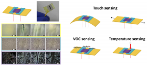 Electronic skin Technion