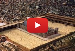 The Video That Palestinians Don't Want the World to See Exposing the Truth About Jerusalem and the Temple Mount