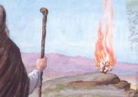 Moses burning bush