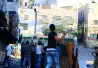 rock-throwing Palestinian terror