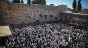 western wall priestly benediction