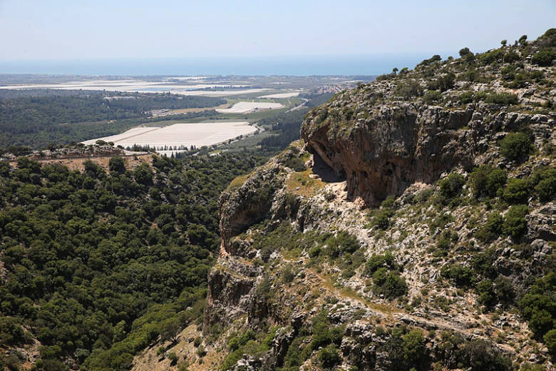 'Important News for Jewish Settlement': Israeli Government Approves New Community in Lower Galilee - Vimarsana News