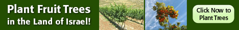 plant fruit trees in southern israel