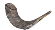 Shofar