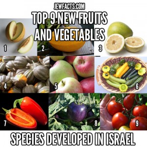 Top-9-Israeli-Fruits-and-Vegetablest-Color-World-Markets