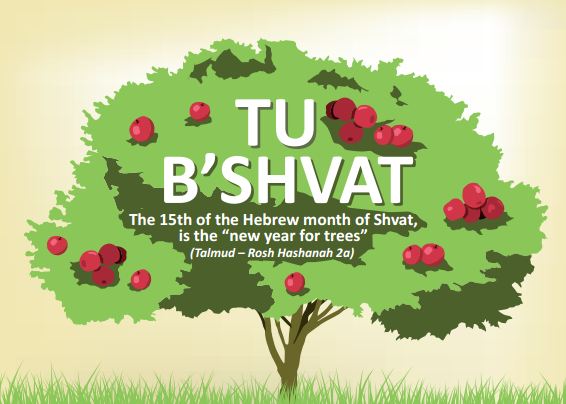 INFOGRAPHIC: Everything You Need To Know About Tu B'Shevat | United ...