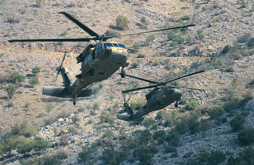 IAF helicopter2