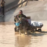 AFP Gaza Floods