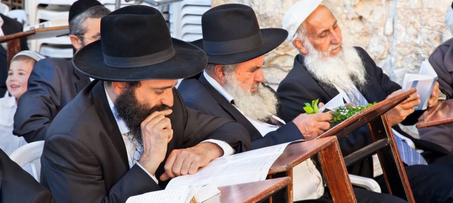 Religious Jewish men in Israel. (Aleksandar Todorovic/Shutterstock)