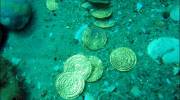 Coins as found on the seabed at Caesarea National Park