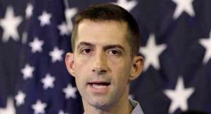 Senator Tom Cotton. (heymiller.com)