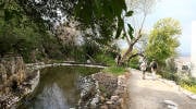 Hebrew University Botanical Gardens