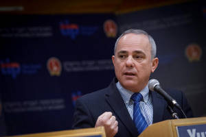 Minister Steinitz. ( Miriam Alster/Flash90)