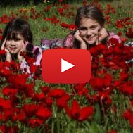 Israelis seen enjoying the blooming of Anemone flowers