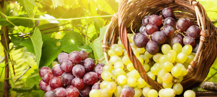 Israeli grapes.
