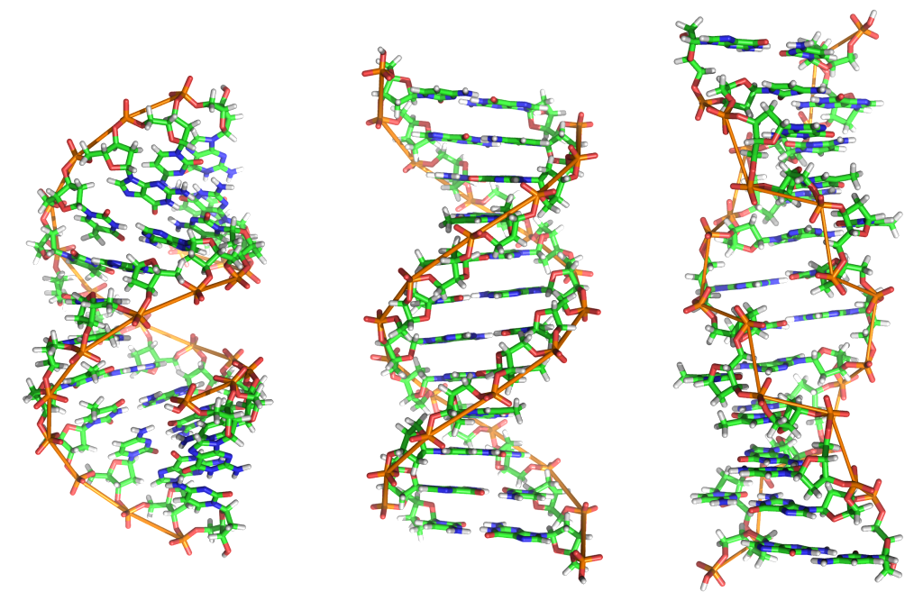 DNA