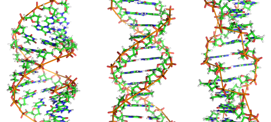 DNA