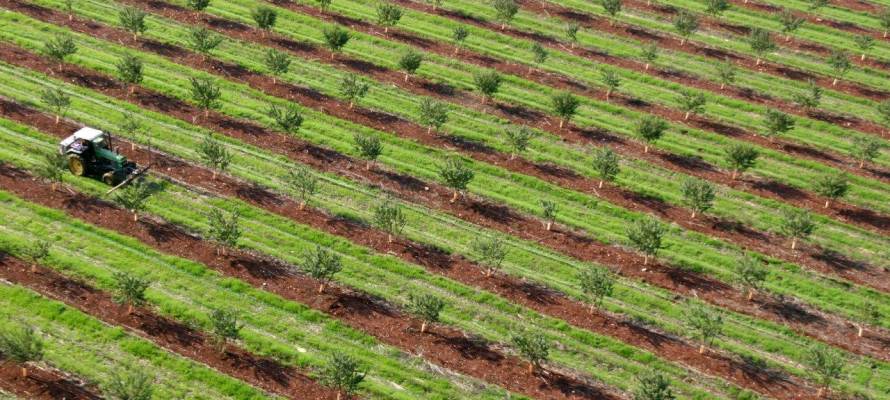  Israel  Leads the Way in Agricultural  Technology  United 