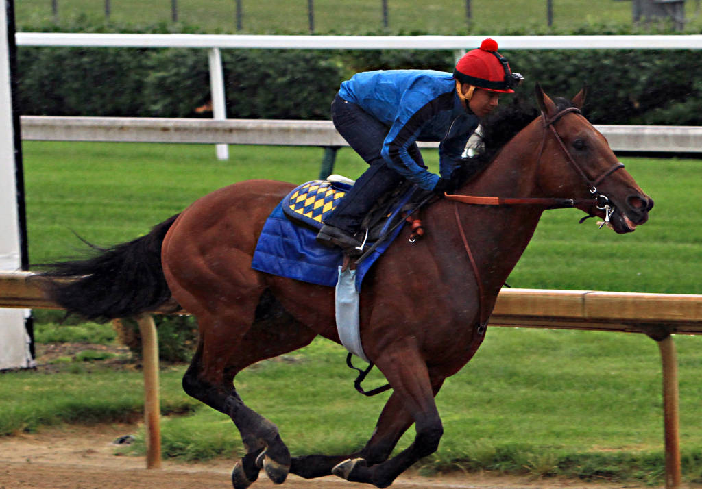 American Pharoah