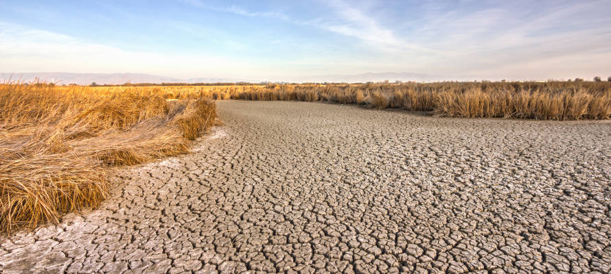 California drought