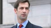 Tom Cotton