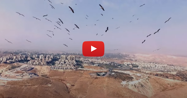 WATCH: The Astounding Beauty of Israel | United with Israel