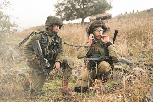 IDF forces in a training exercise. (IDF)