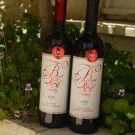 wines from Beit El