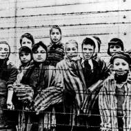 children in auschwitz concentration camp