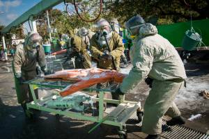 IDF prepares for chemical warfare
