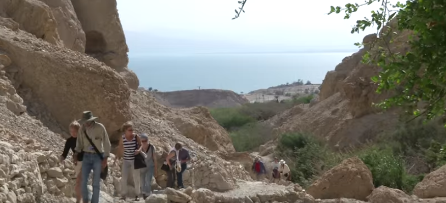 Ein Gedi Nature Reserve