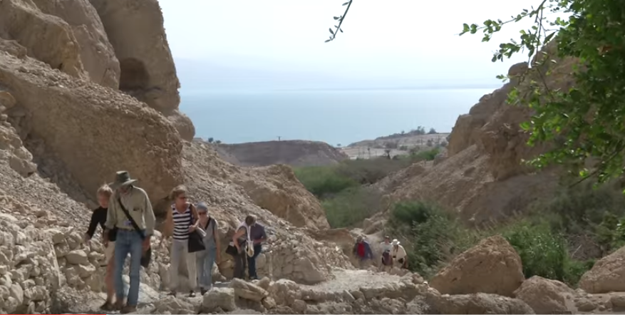 Ein Gedi Nature Reserve