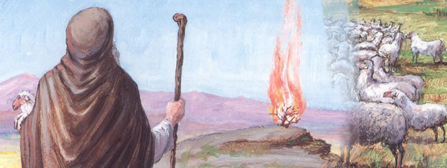 Moses burning bush