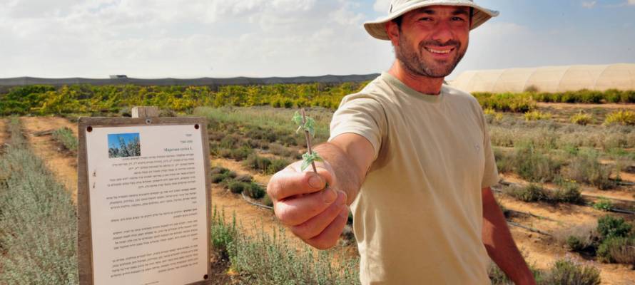 Israel Nigeria Farming