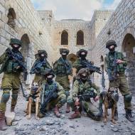 IDF counter terror