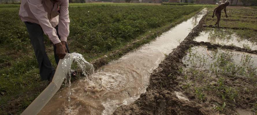 Israel India Farmers