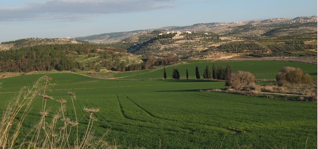 Elah Valley